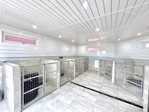 Photo 13- click for photo gallery